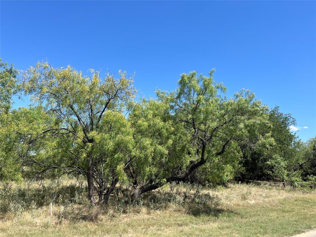 42143 Glen Eagles Drive Property Photo 2