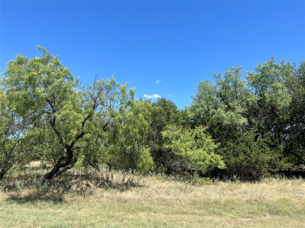 42143 Glen Eagles Drive Property Photo 3