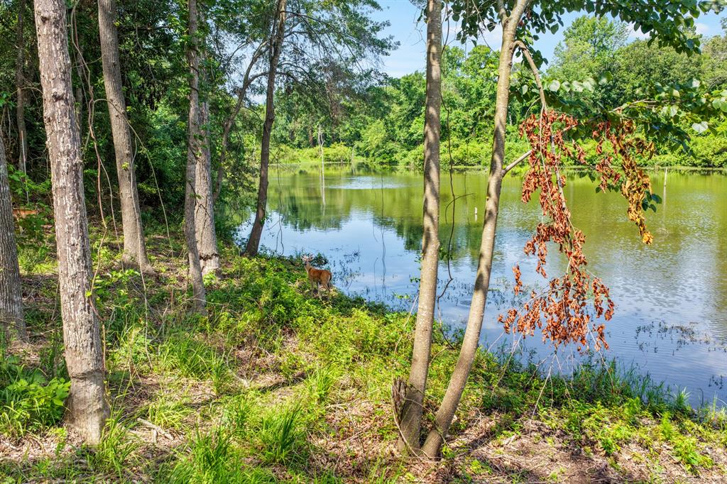 Lot 70 Private Road 2712 Property Photo 9