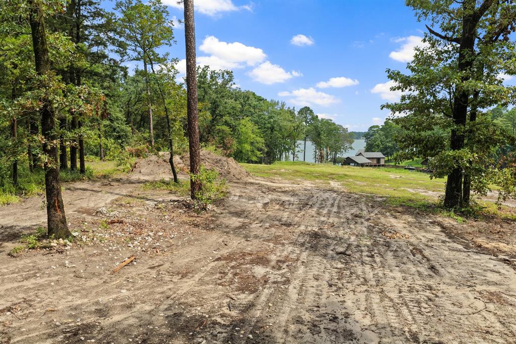 4580 Fm 3007 Property Photo 8