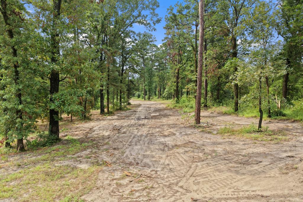 4580 Fm 3007 Property Photo 11