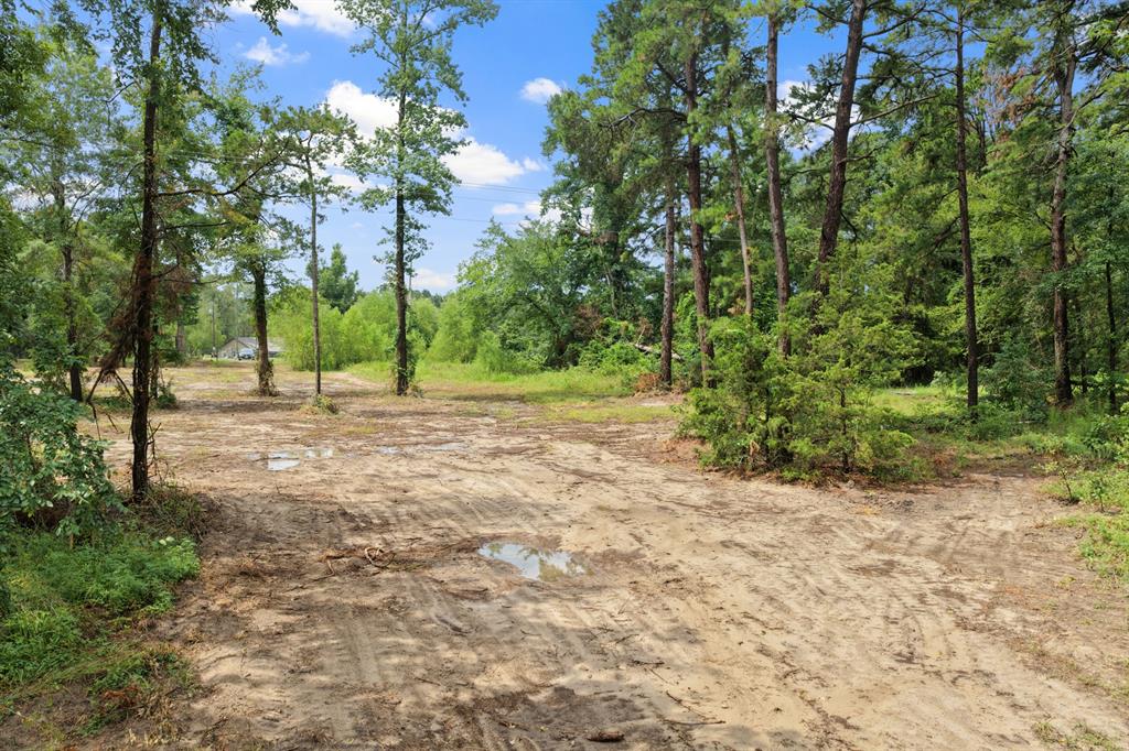 4580 Fm 3007 Property Photo 13