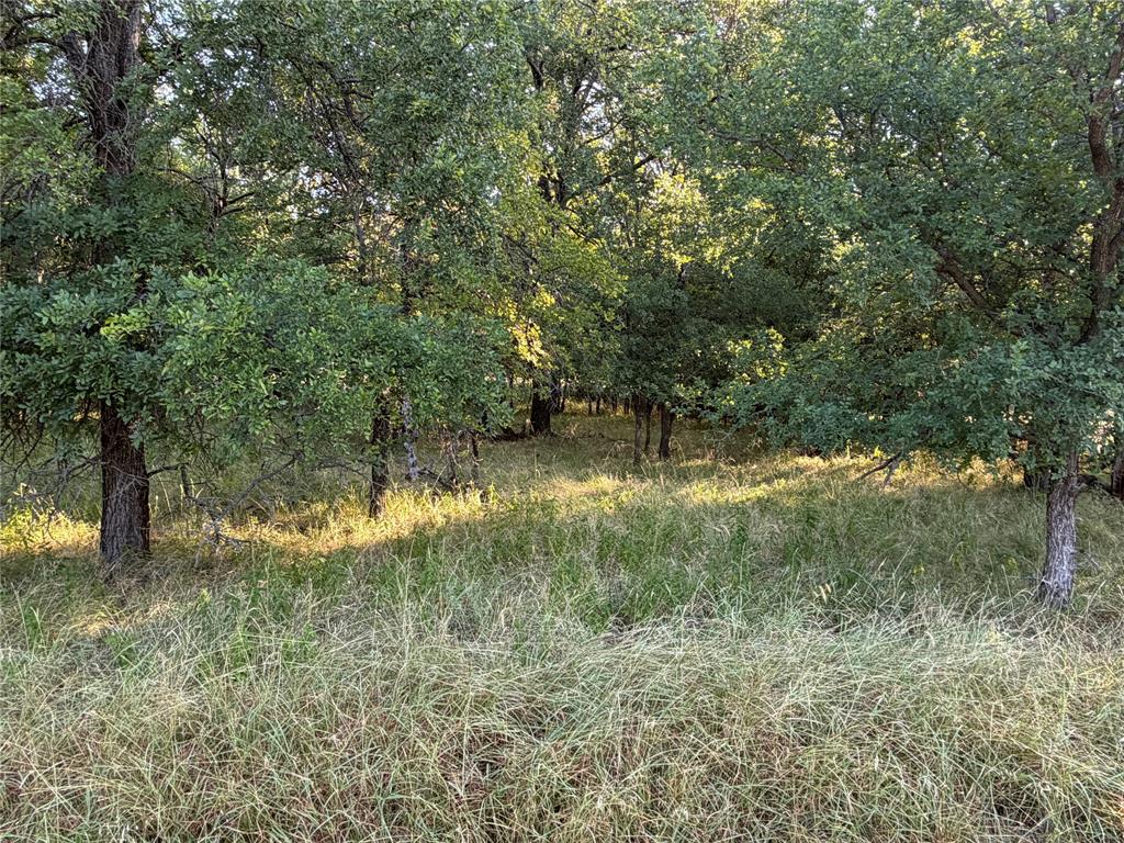 576 Willow Drive Property Photo 2