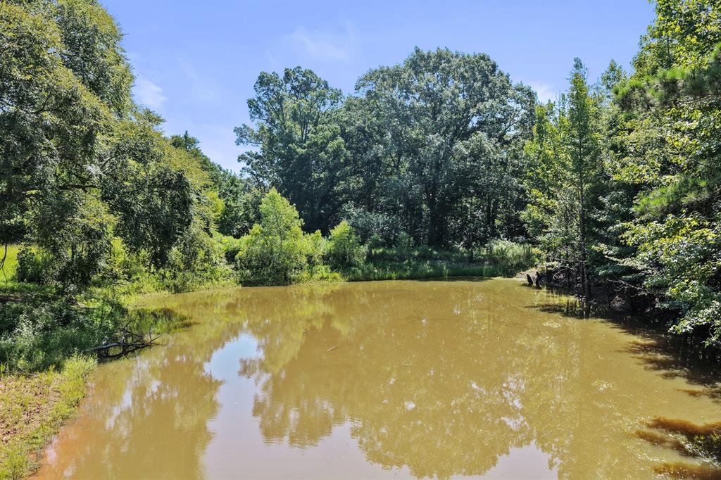 1710 County Road 2928 Property Photo 28