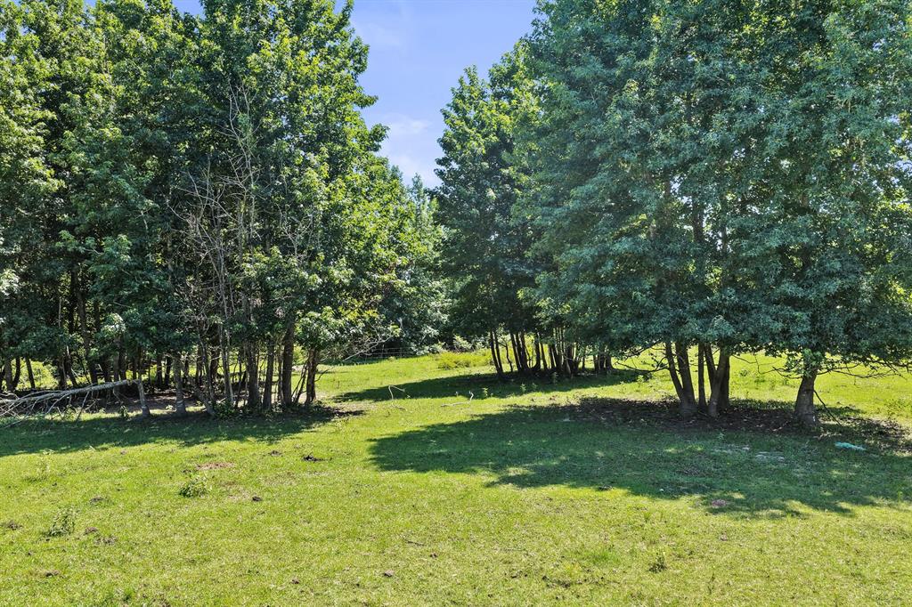 1710 County Road 2928 Property Photo 31