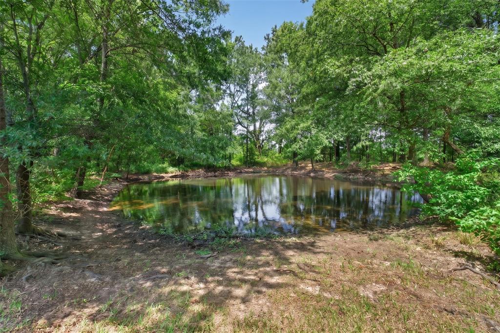 1094 County Road 2389 Property Photo 27