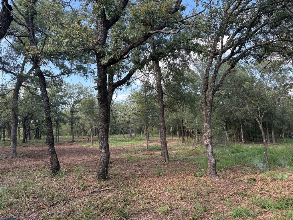 10979 County Road 401 Property Photo 4