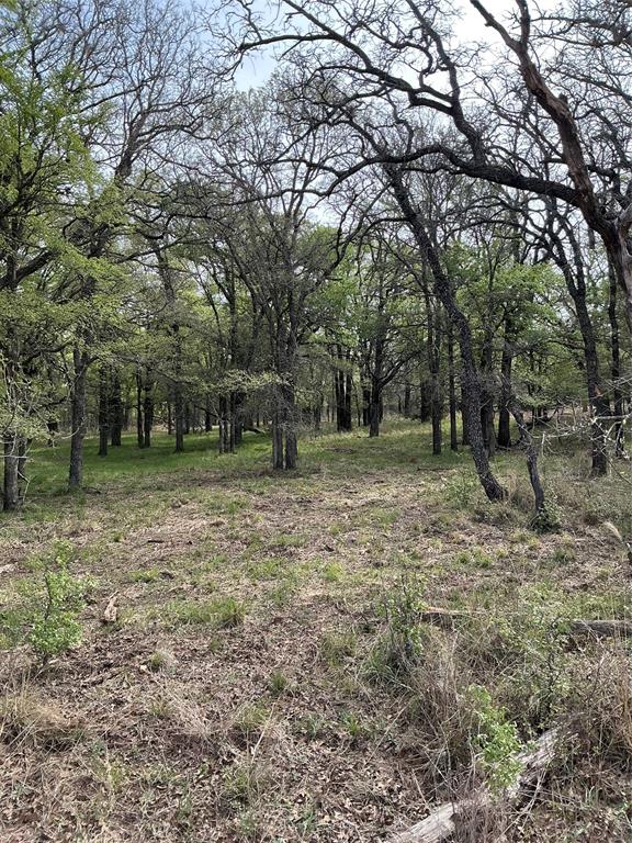 10979 County Road 401 Property Photo 10