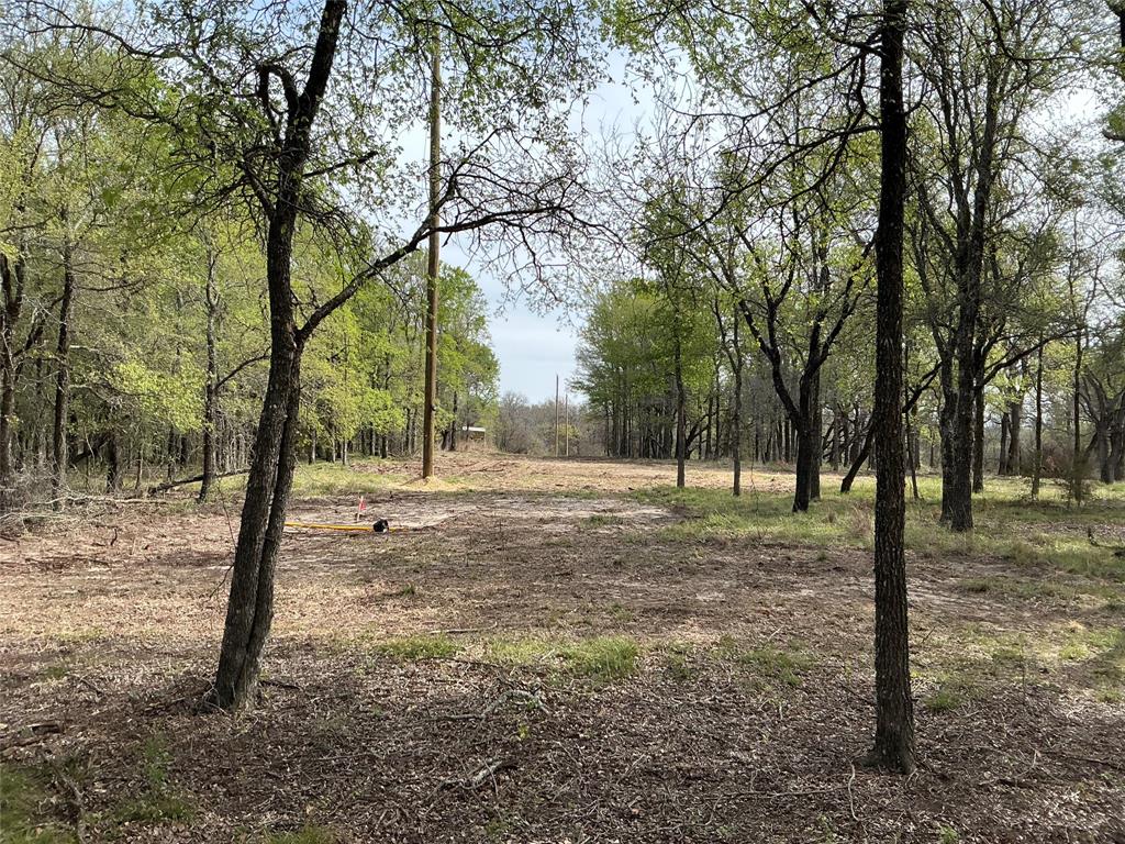10979 County Road 401 Property Photo 13