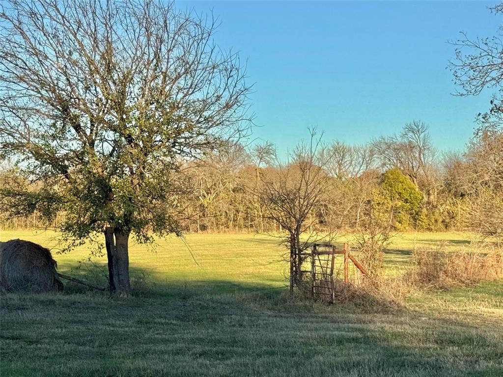 738 Cole Street Property Photo 5