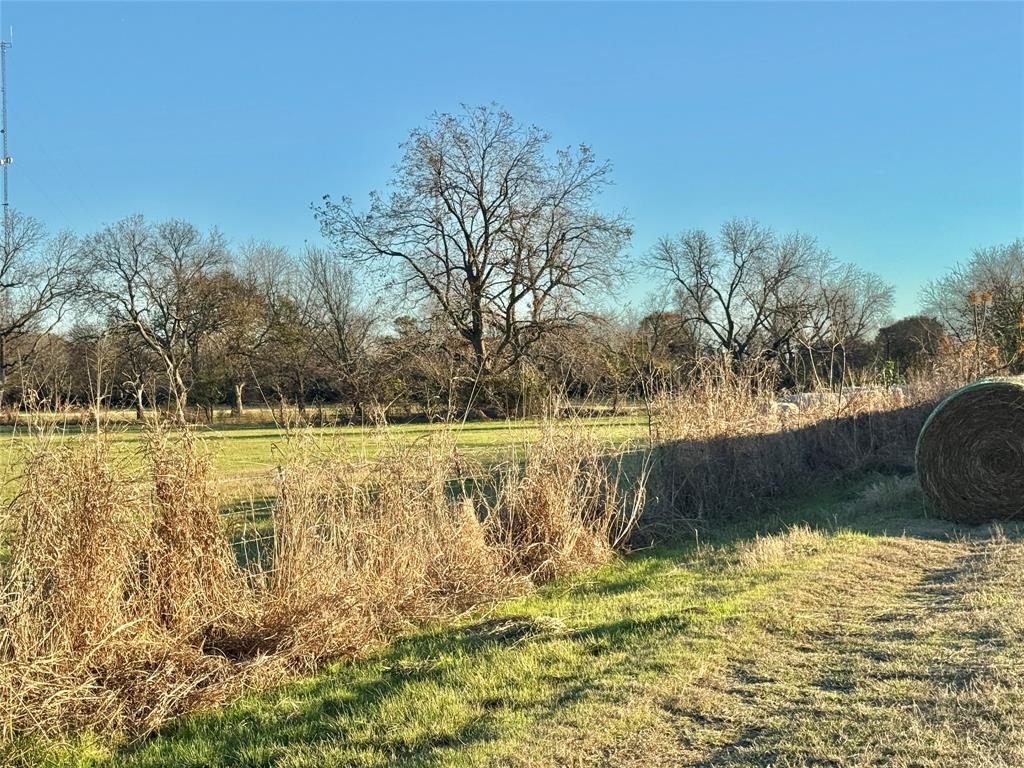 738 Cole Street Property Photo 14