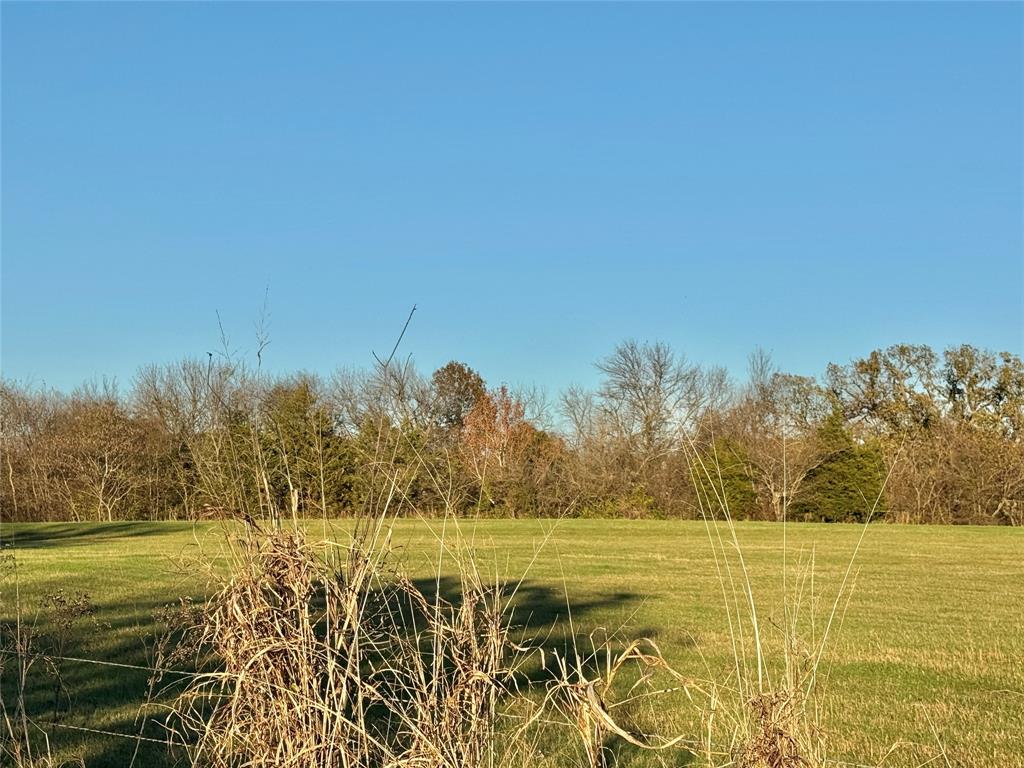 738 Cole Street Property Photo 17