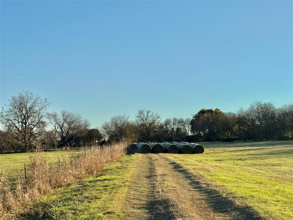 738 Cole Street Property Photo 21