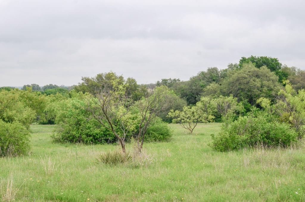 1210 County Road 341 Property Photo 18