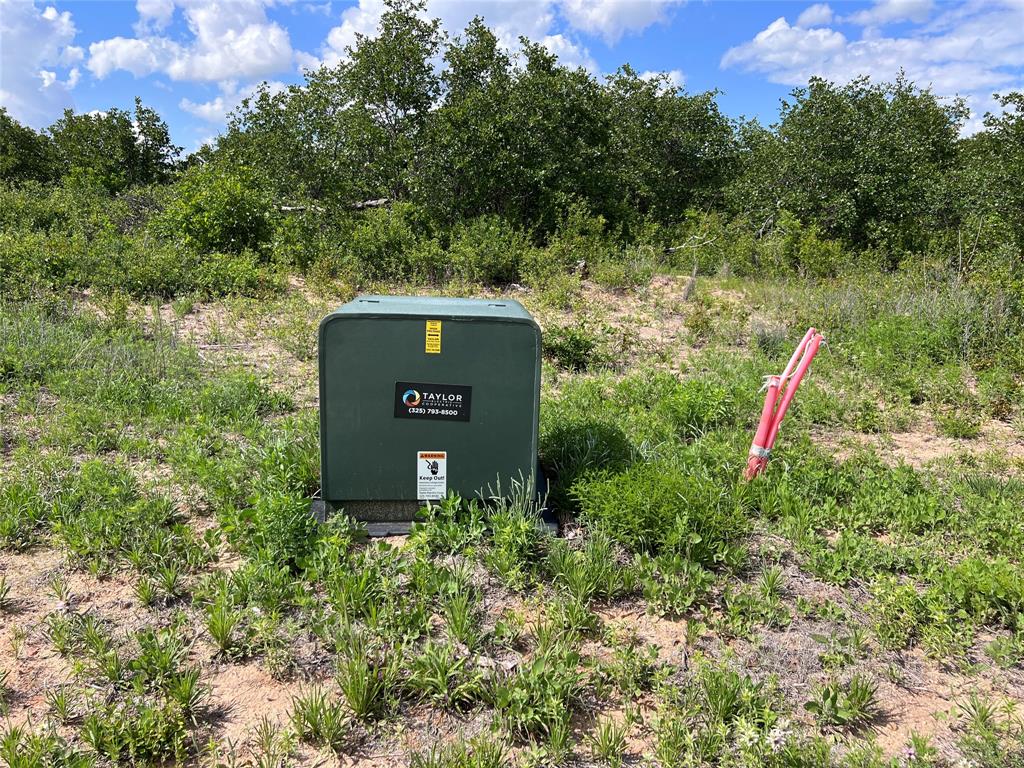 Tbd Live Oak Trail Property Photo 4