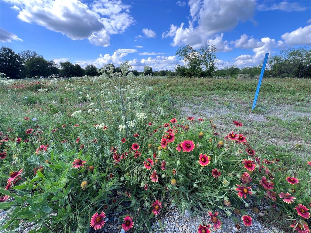 Tbd Live Oak Trail Property Photo 7