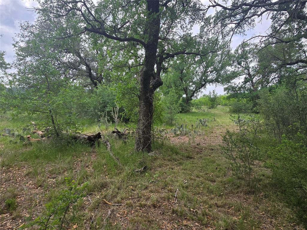 Lot 913 Cinnamon Teal Property Photo 6