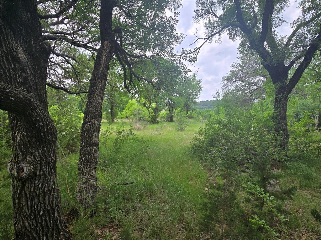 Lot 913 Cinnamon Teal Property Photo 7