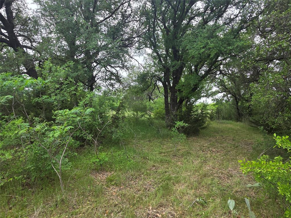 Lot 913 Cinnamon Teal Property Photo 8
