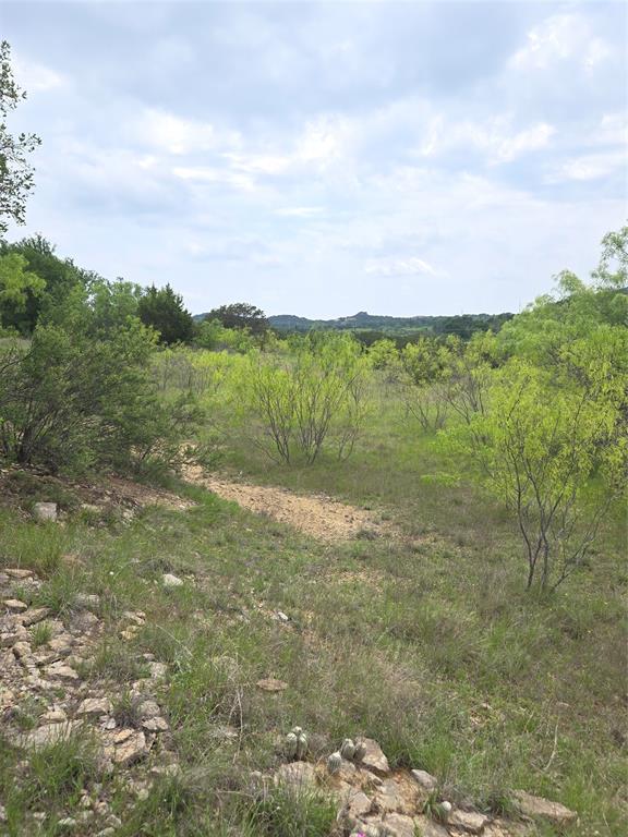 Lot 913 Cinnamon Teal Property Photo 11