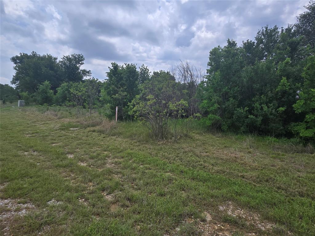 Lot 913 Cinnamon Teal Property Photo 14