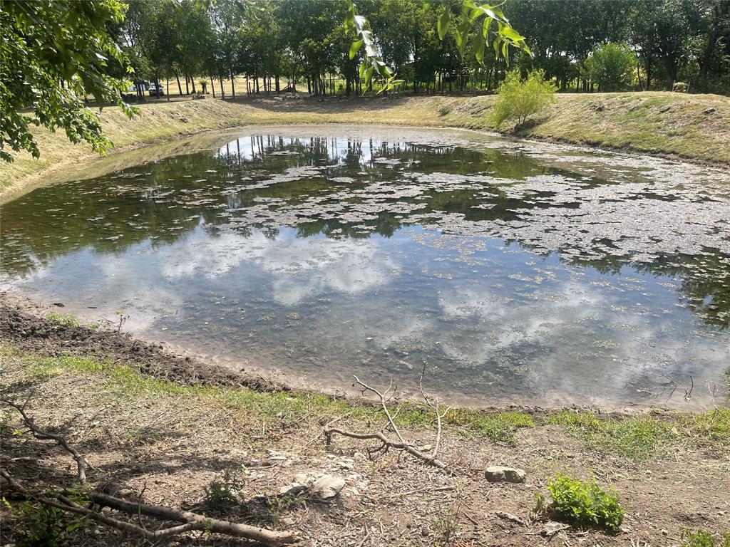223 Longview Creek Trail Property Photo 6