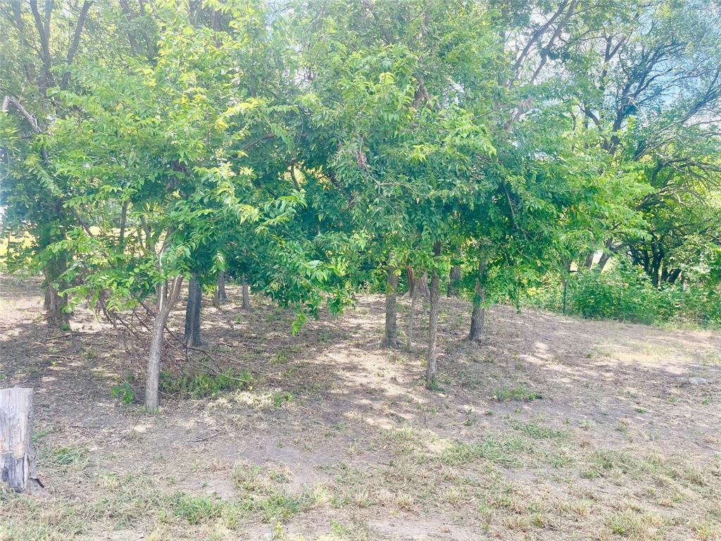 223 Longview Creek Trail Property Photo 8
