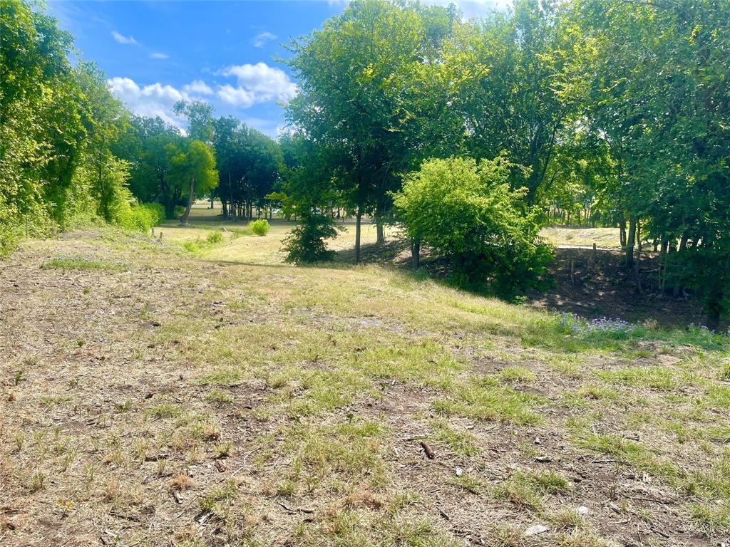 223 Longview Creek Trail Property Photo 10