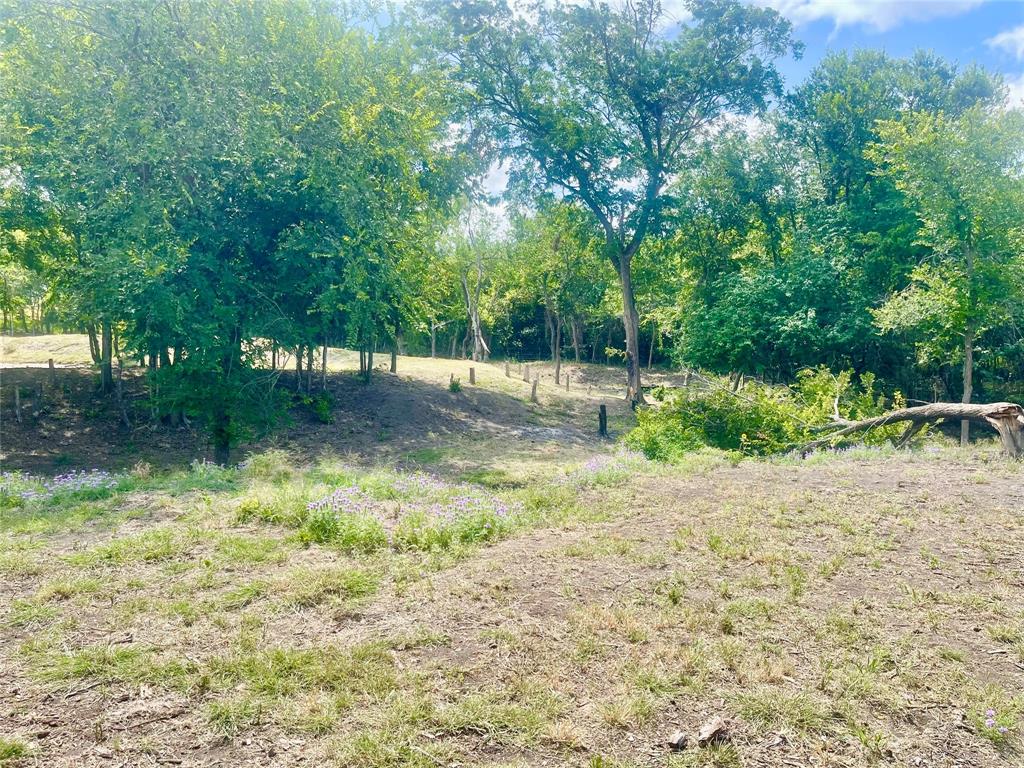 223 Longview Creek Trail Property Photo 11