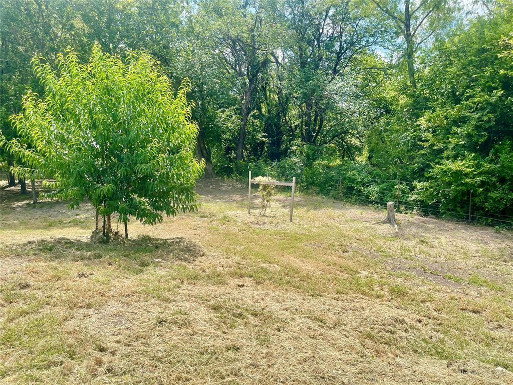 223 Longview Creek Trail Property Photo 14