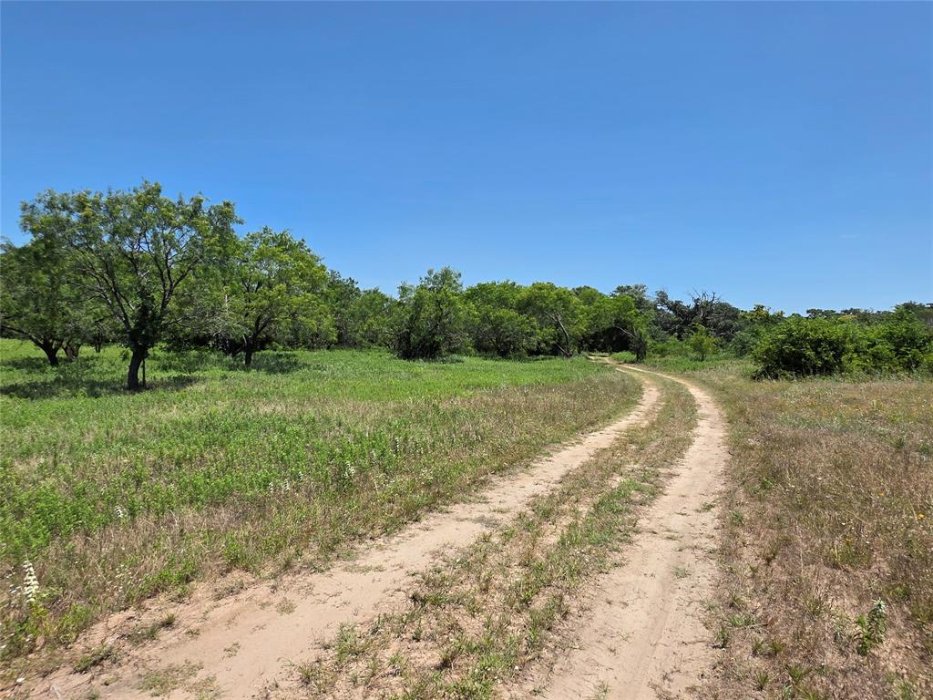 16695 County Road 421 Property Photo 2