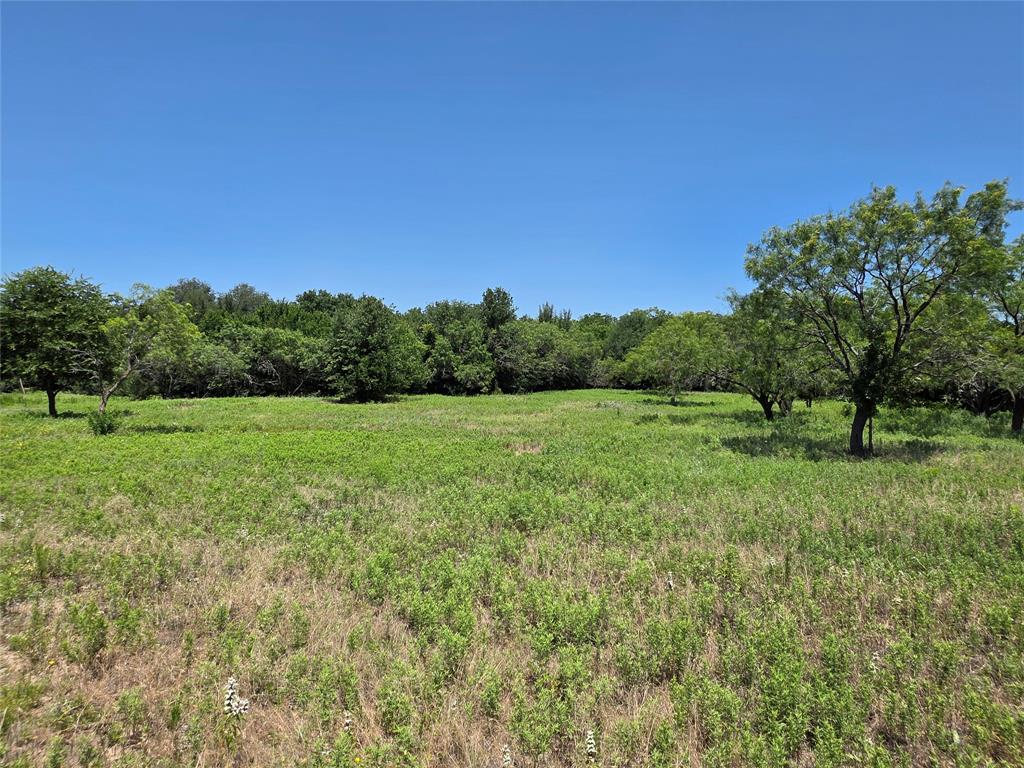 16695 County Road 421 Property Photo 3