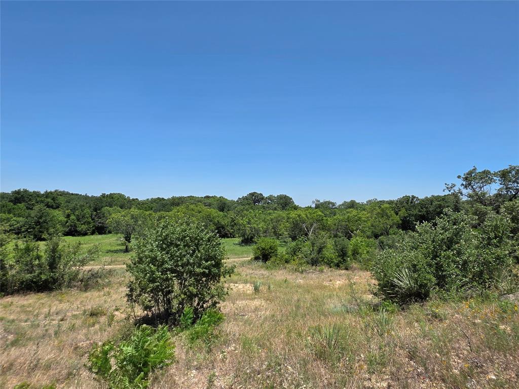 16695 County Road 421 Property Photo 4