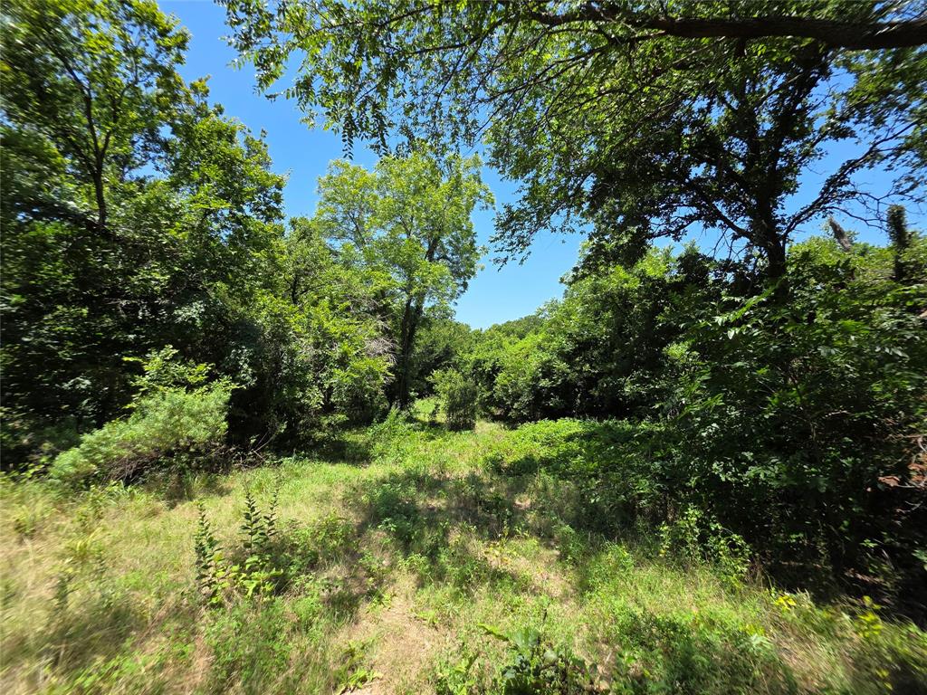 16695 County Road 421 Property Photo 5