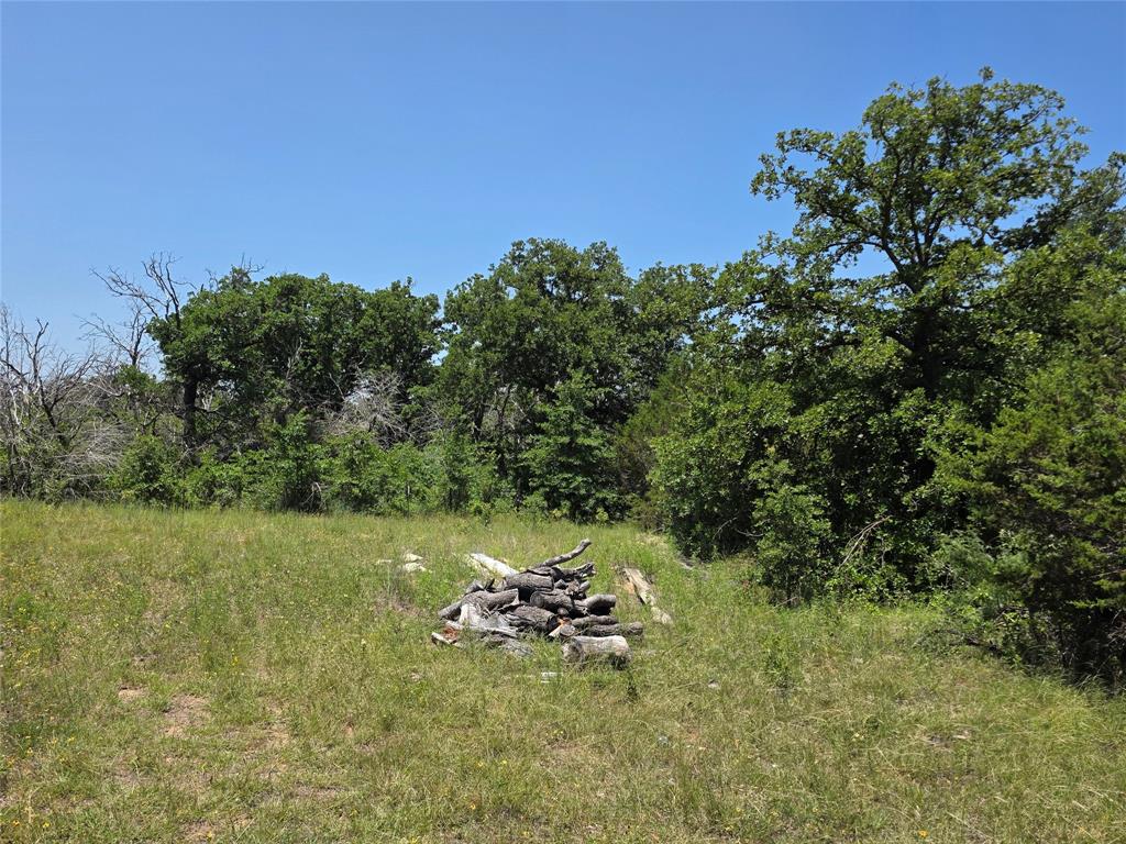 16695 County Road 421 Property Photo 16