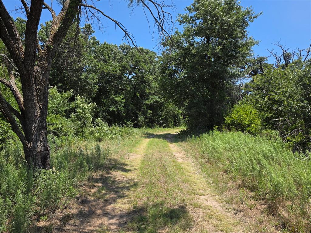 16695 County Road 421 Property Photo 17