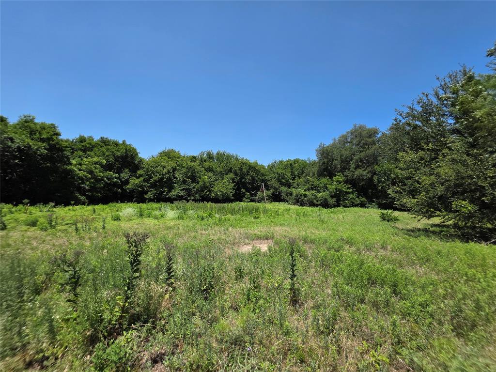 16695 County Road 421 Property Photo 18