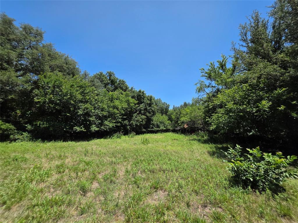 16695 County Road 421 Property Photo 19