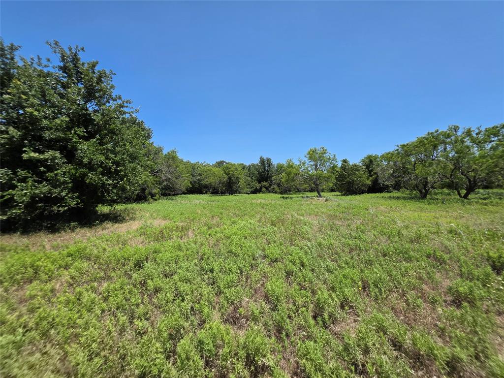 16695 County Road 421 Property Photo 20