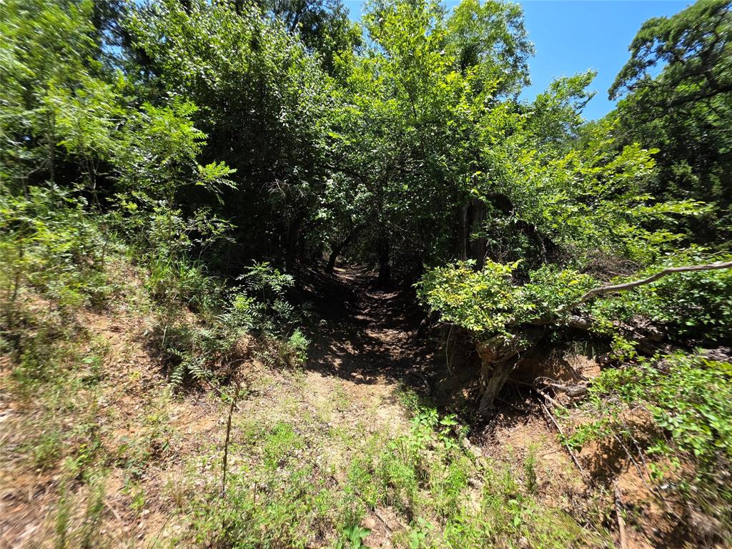 16695 County Road 421 Property Photo 26