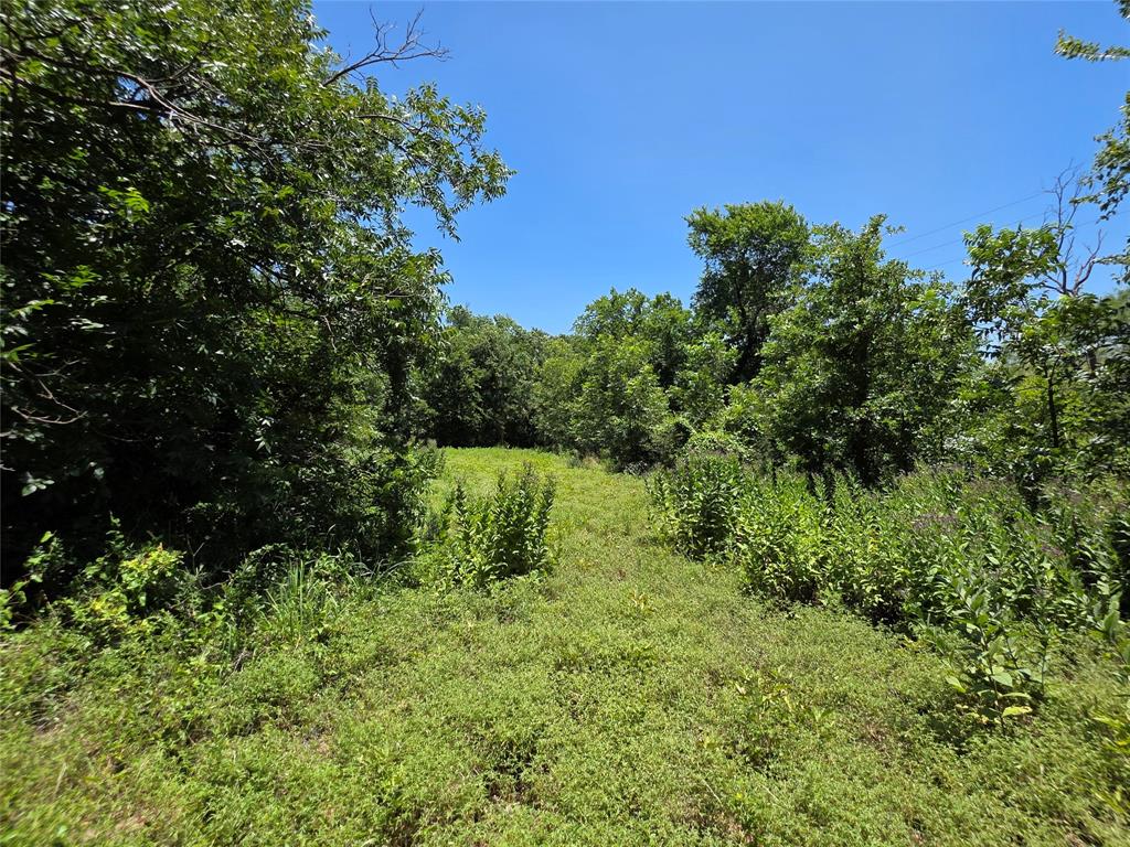 16695 County Road 421 Property Photo 27
