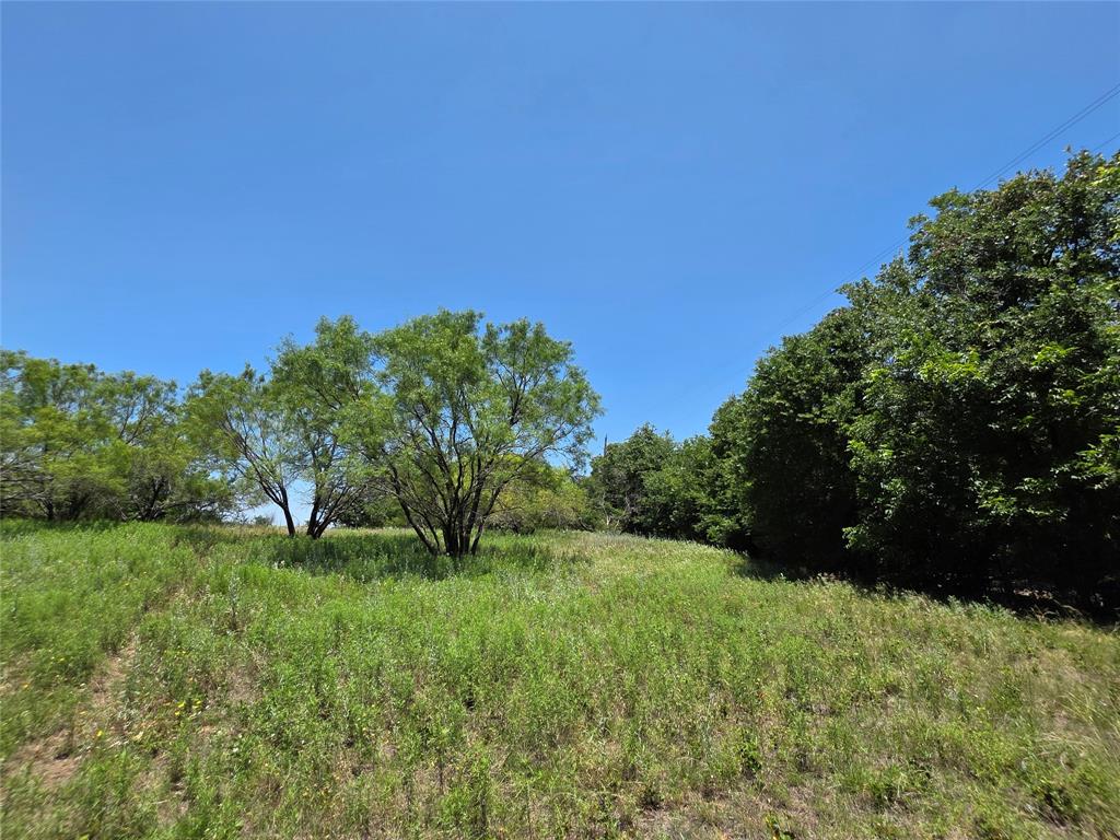 16695 County Road 421 Property Photo 28