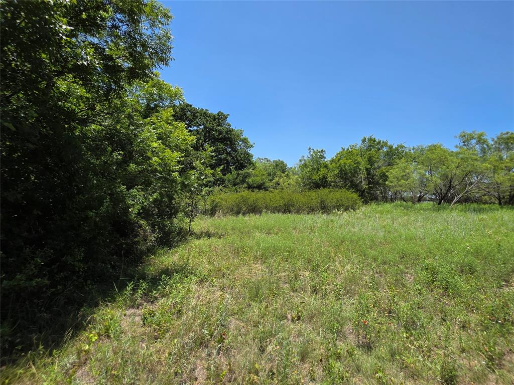 16695 County Road 421 Property Photo 29