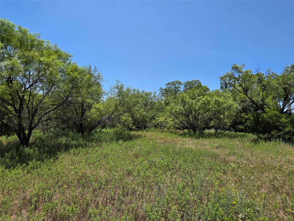 16695 County Road 421 Property Photo 30