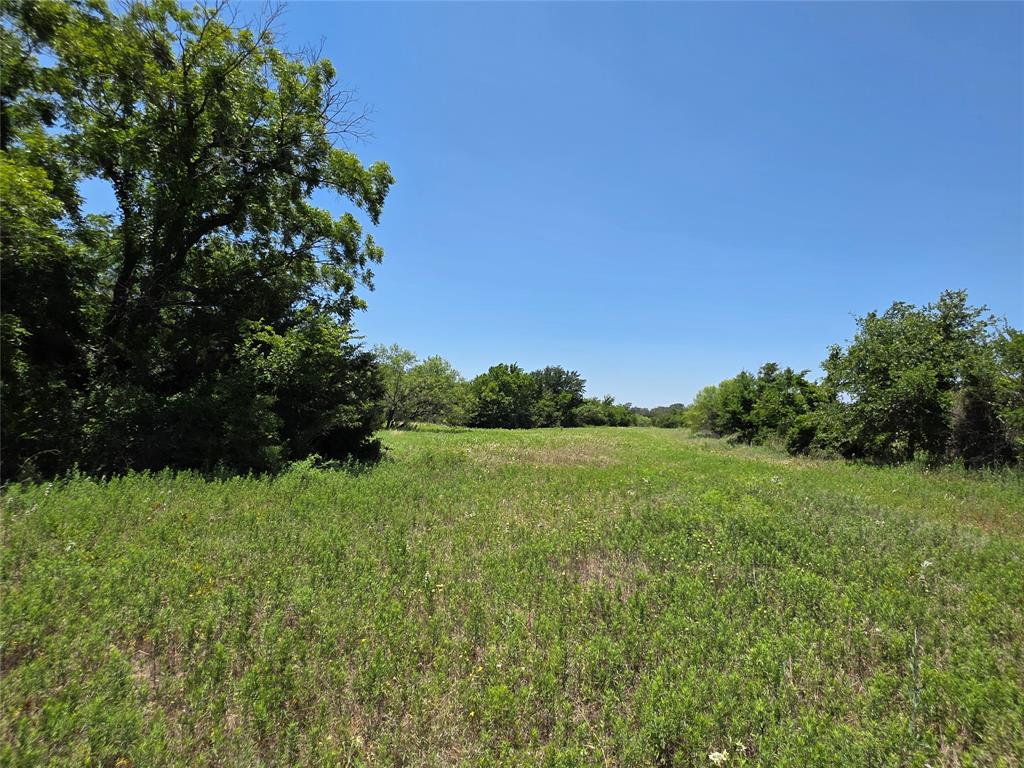 16695 County Road 421 Property Photo 31