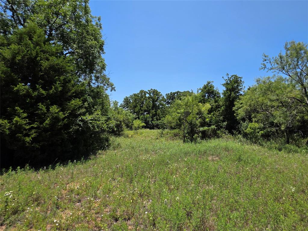 16695 County Road 421 Property Photo 32