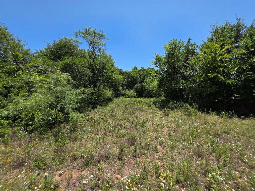 16695 County Road 421 Property Photo 33