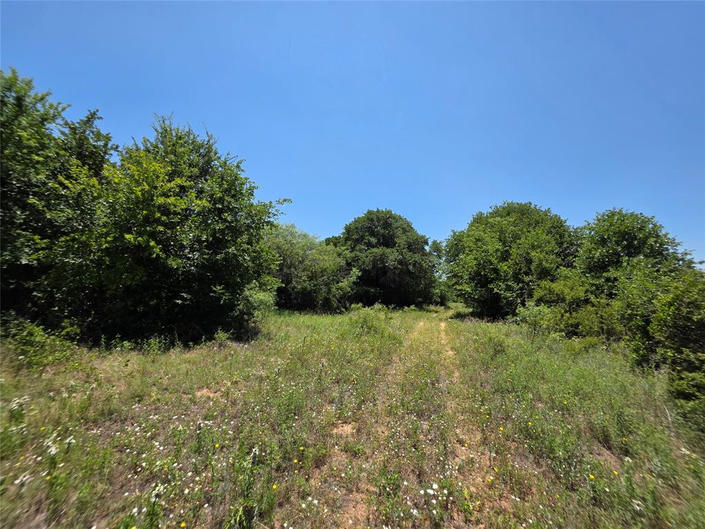 16695 County Road 421 Property Photo 34