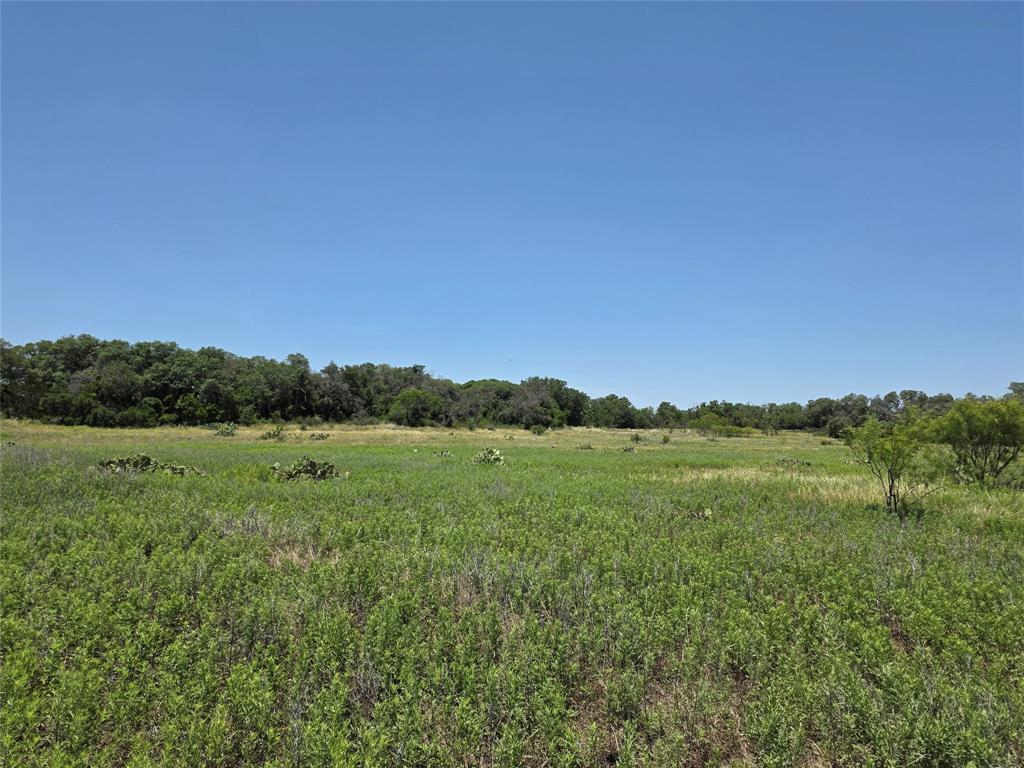 16695 County Road 421 Property Photo 36