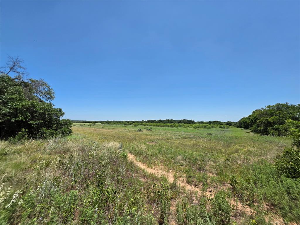 16695 County Road 421 Property Photo 37